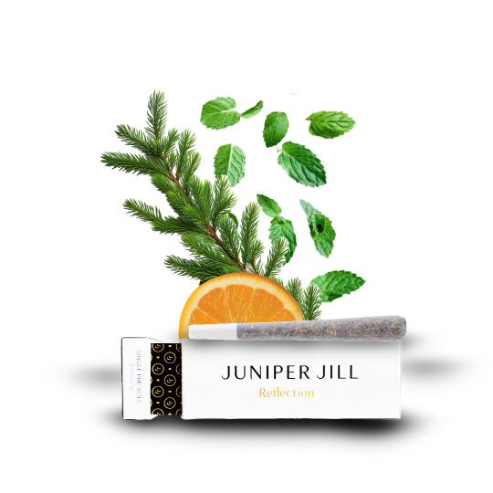 Photograph of product: Juniper Jill | Reflection: Holy Grail | Single Pre-Roll