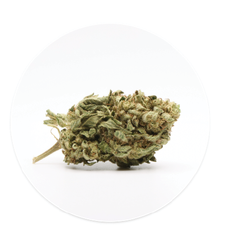 Photograph of product: Super Glue - 1g