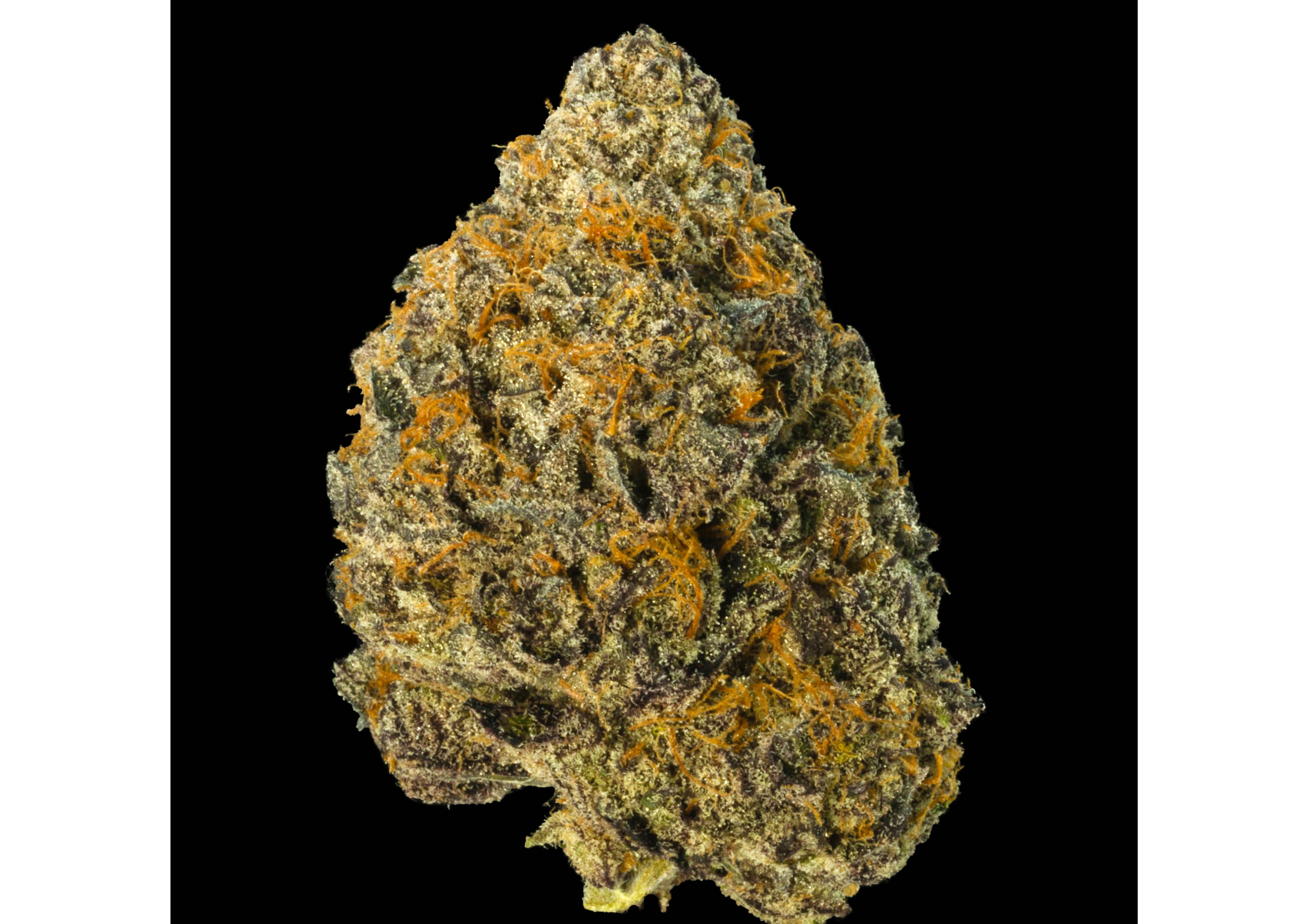 Photograph of product: Flower Apple Jax - 28g