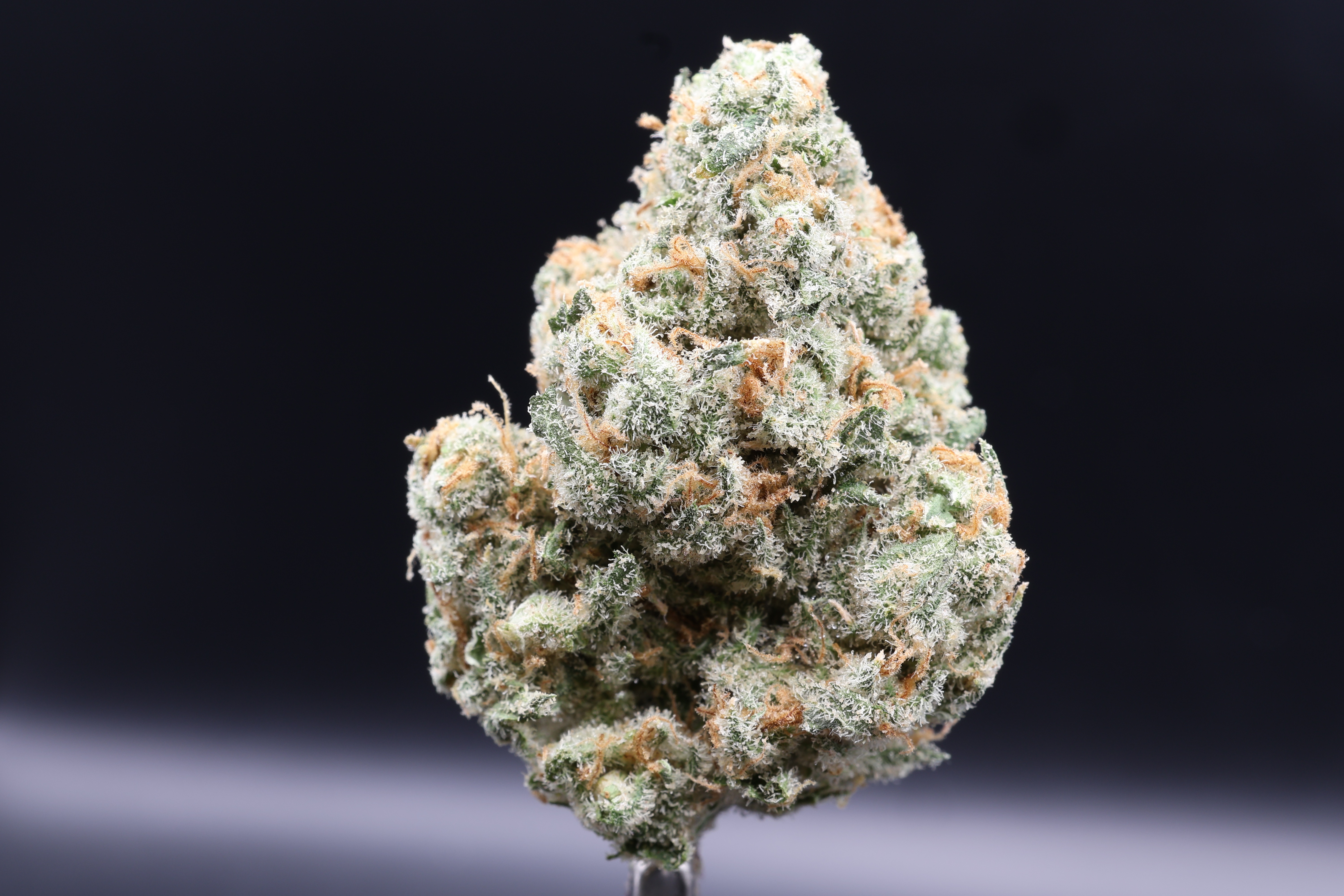 Photograph of product: Jack Herer (Noble Farms) - 28g