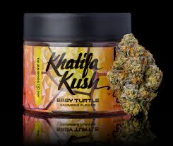 Photograph of product: Baby Turtle 3.5g PrePack (Khalifa Kush)