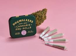 Photograph of product: Dogwalkers - Chem Scout '87 - /5pk - Prerolls