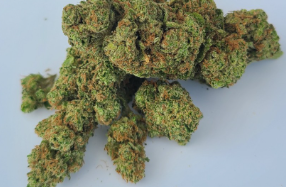 Photograph of product: GMO Sherb | Carbon - 28g