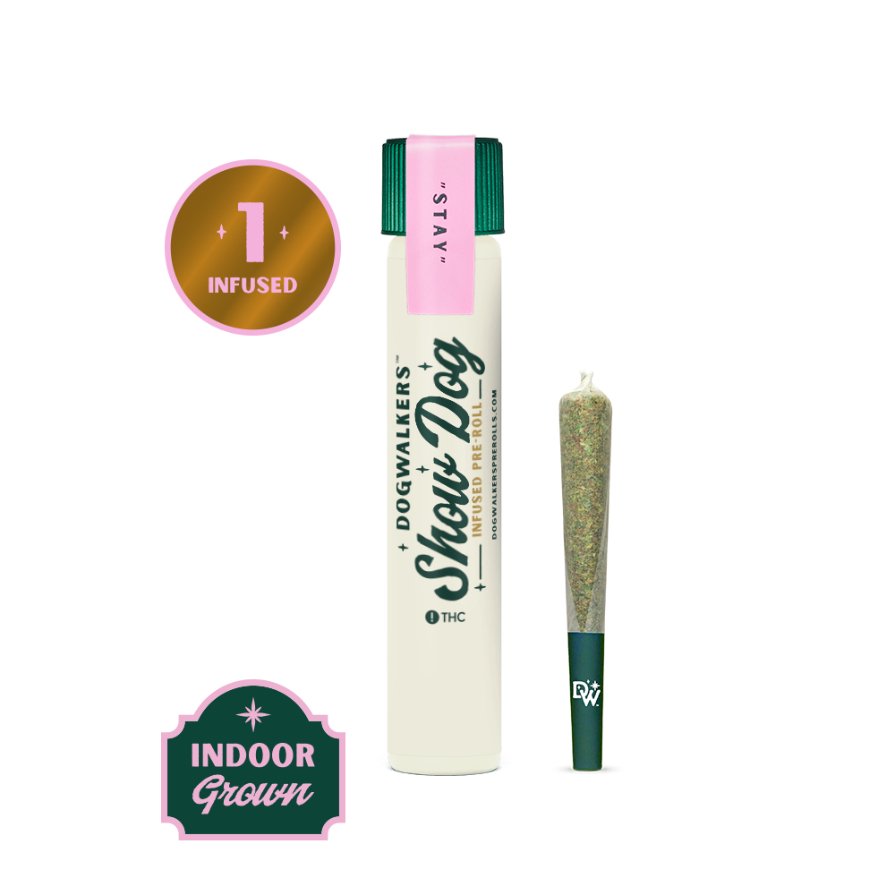Photograph of product: Dogwalkers | Chem n' Cookies 'stay' (h) Infused Pre-Roll 1g