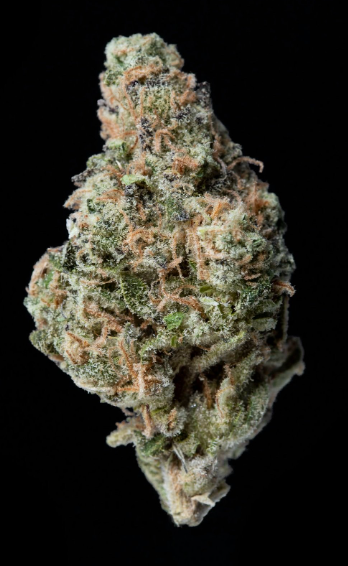Photograph of product: Organic Theory Mule Fuel Oui'd - 28g