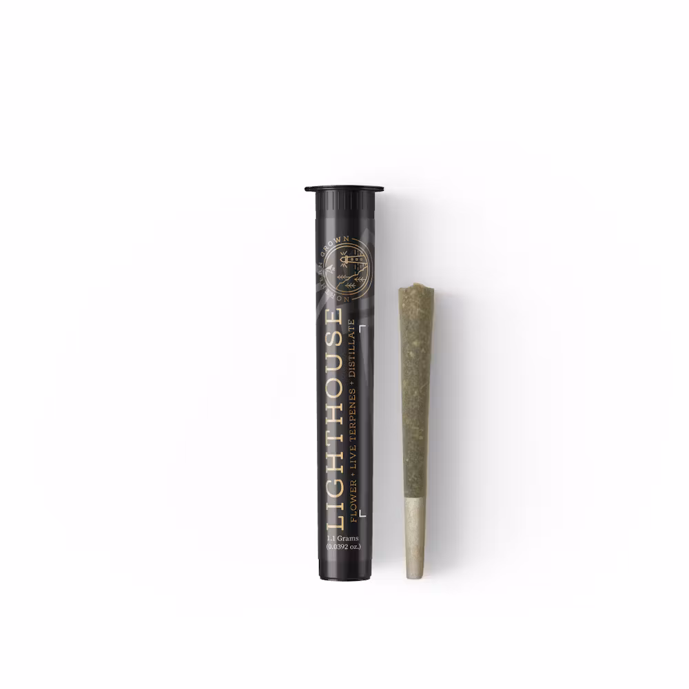Photograph of Product: Colonial Cake Walk Distillate Infused | Pre Rolls | 1g