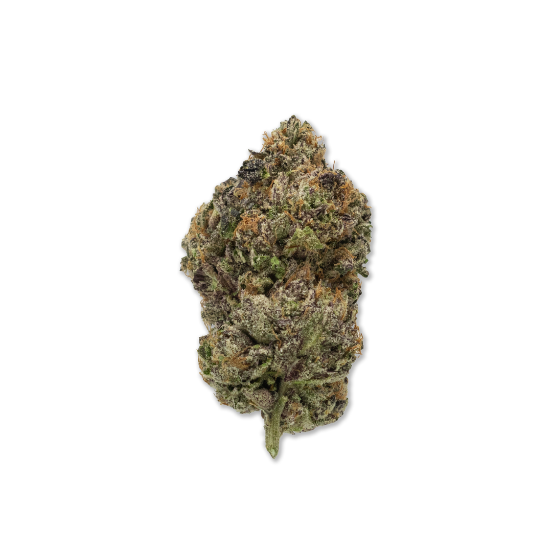 Photograph of product: Society C | Jealous Cheesecake Bulk Flower - 28g