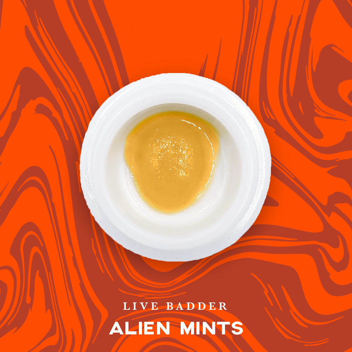 Photograph of product: VIVID - BADDER LIVE - 1G - ALIEN MINTZ - HYBRID