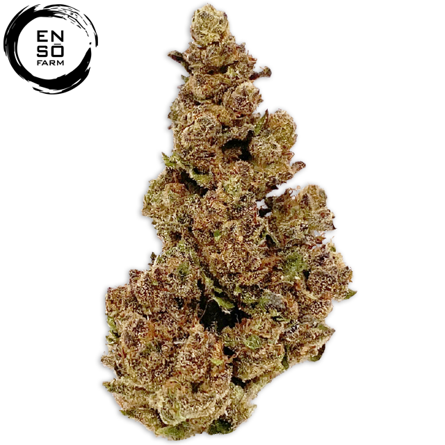 Photograph of product: au chocolatBURGER (14G)