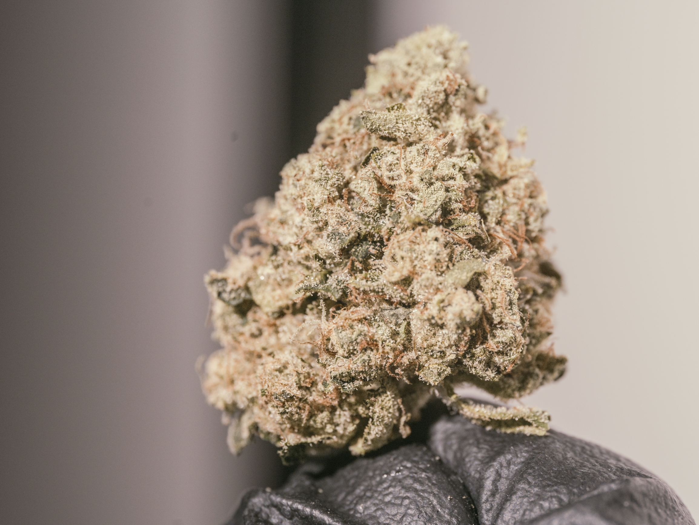 Photograph of product: Pure Bliss Farms - Triangle - Flower - Bulk - 28g