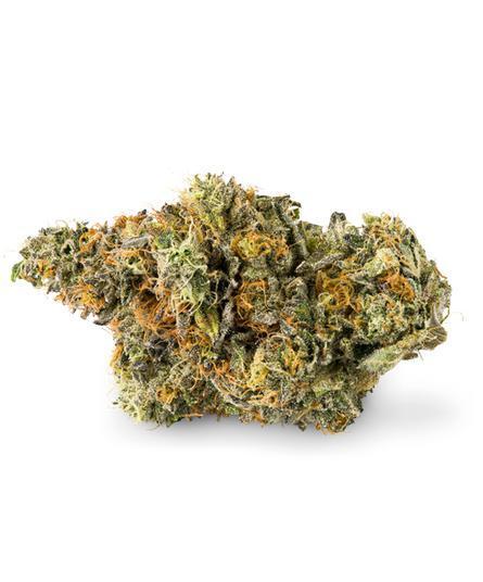 Photograph of product: SUNSHINE LIME - 14g