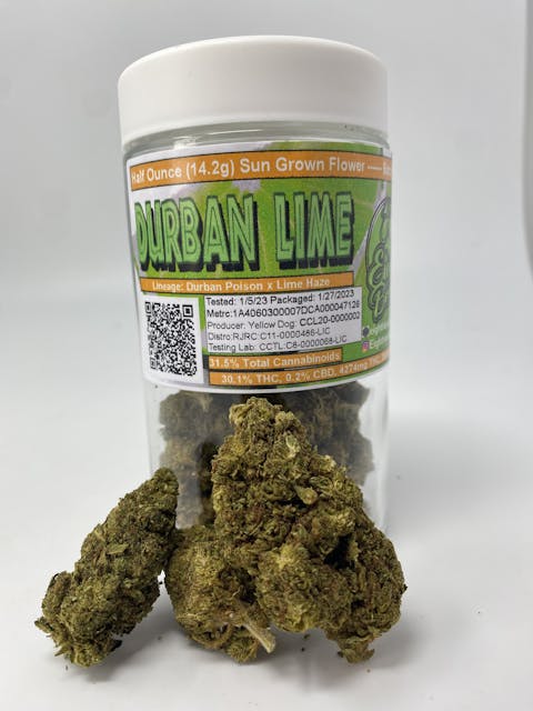 Photograph of product: Durban Lime 14g Outdoor - 