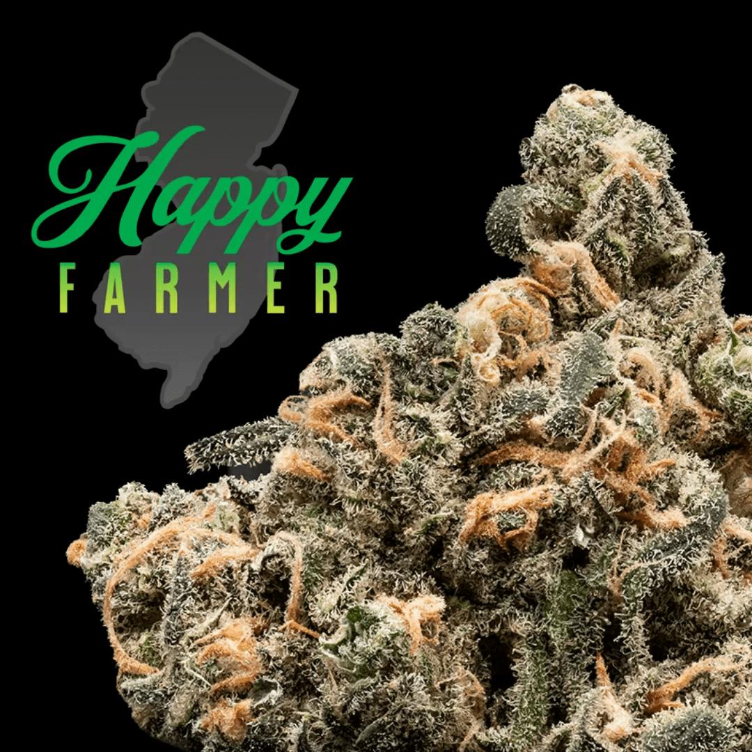 Photograph of product: Blue Dream - 3.5g Flower
