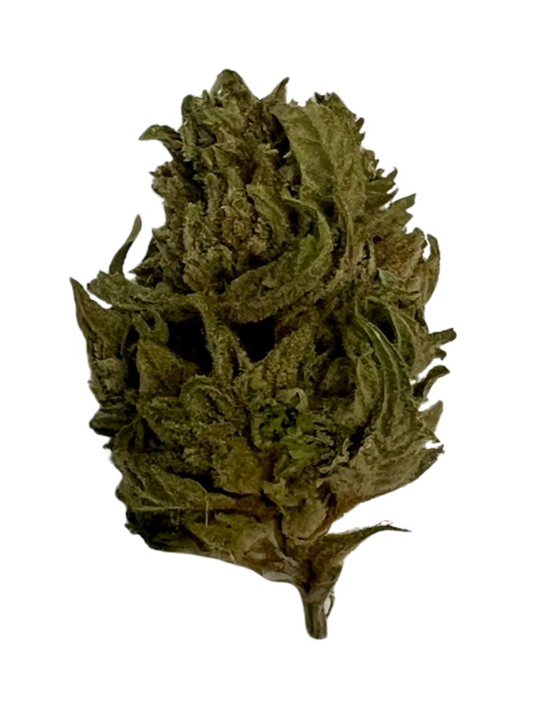 Photograph of product: MPX White Gorilla Flower - 3.5g
