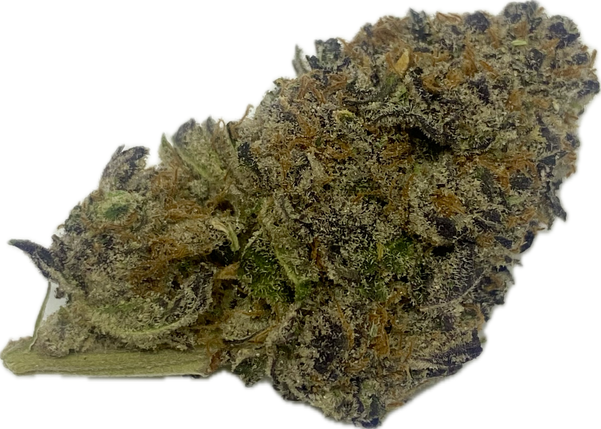 Photograph of product: Twisted Trees Oui'd Co. - Push Pop Runtz - Bulk Flower - 28g