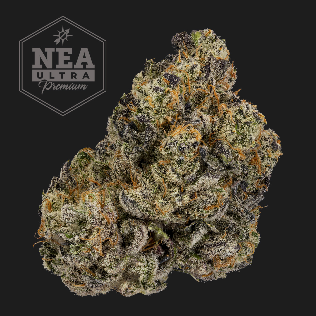 Photograph of product: Premium Ground Beef #22 PP 3.5g