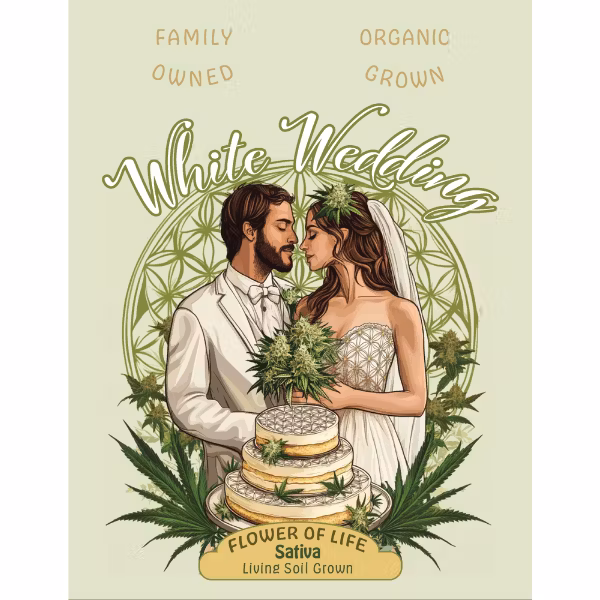 Photograph of product: Flower Of Life - White Wedding - Organic Bulk Flower - Hybrid - 1g