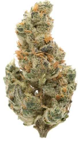 Photograph of Product: Green Trap - GMO - 3.5g