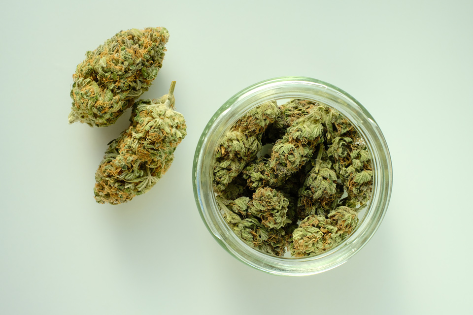 Photograph of product: East Fork Cultivars | Pineapple Kush - 7g
