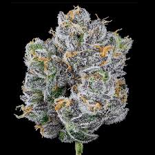 Photograph of product: Great Lake Leaf Shot Caller - 7g