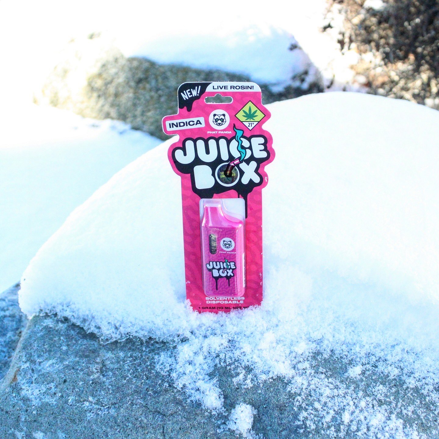 Photograph of product: Vanilla Live Rosin Juice Box | 1g