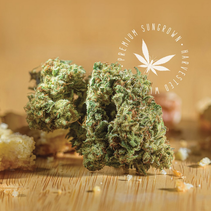 Photograph of product: Grasshopper | Zookies 14g