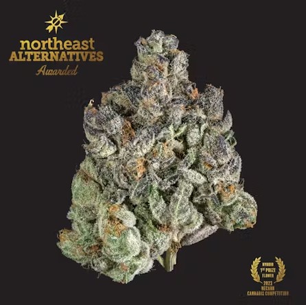 Photograph of product: Flower - Kine Garlic Cookies - 3.5g