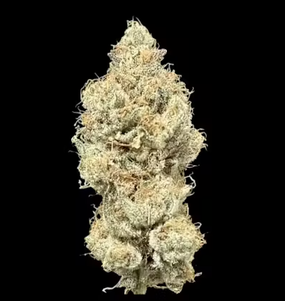 Photograph of product: DC's Finest: Jokerz 14G Prepackaged Flower (H-I)