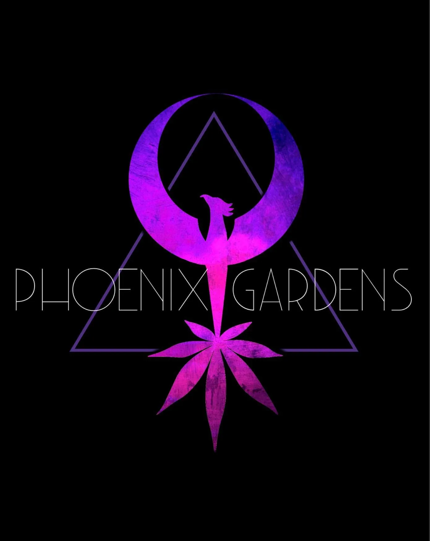 Photograph of product: PHOENIX GARDENS - PURPLE DREAM - 3.5g