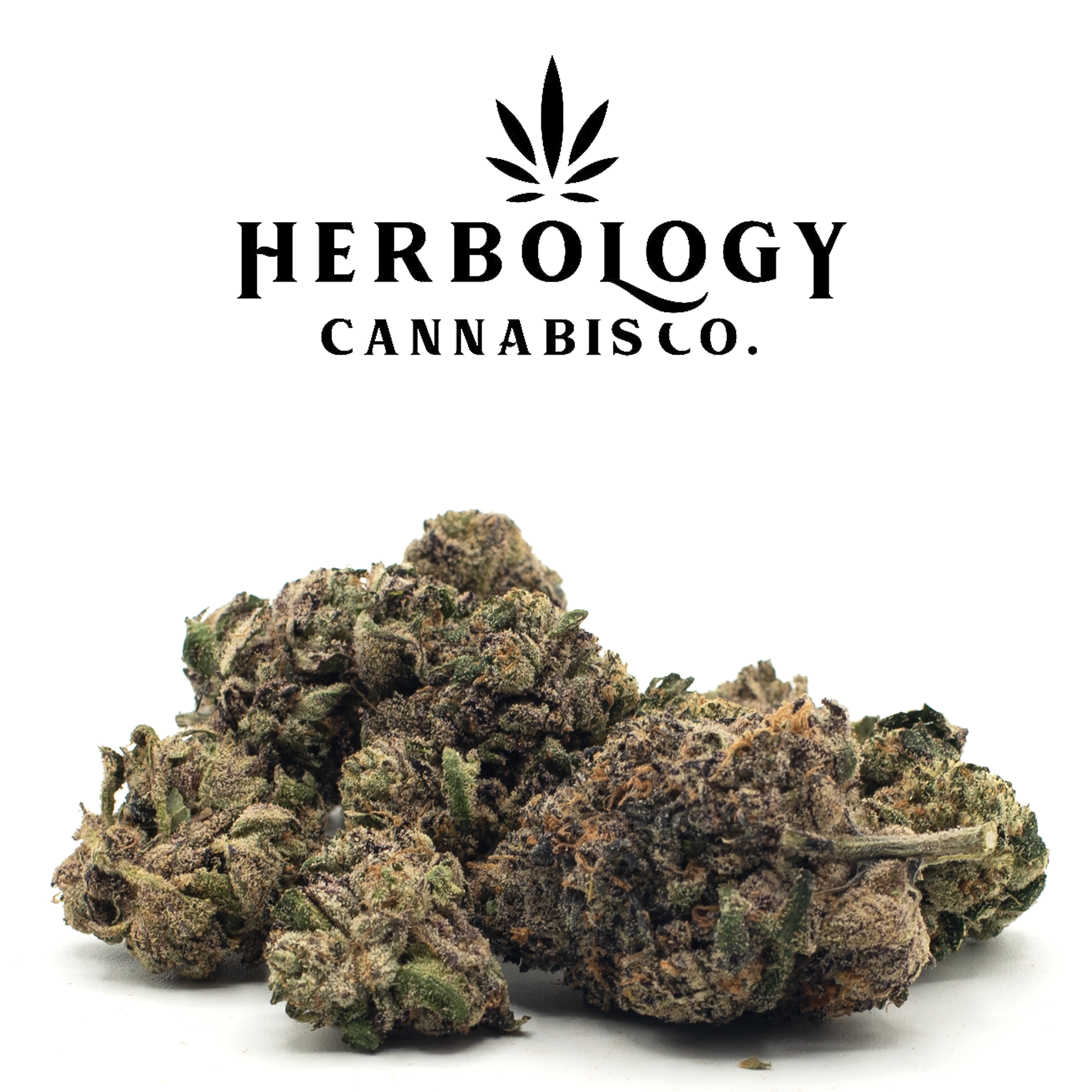 Photograph of product: Legend Flower | Space Runtz | Deli - 28g