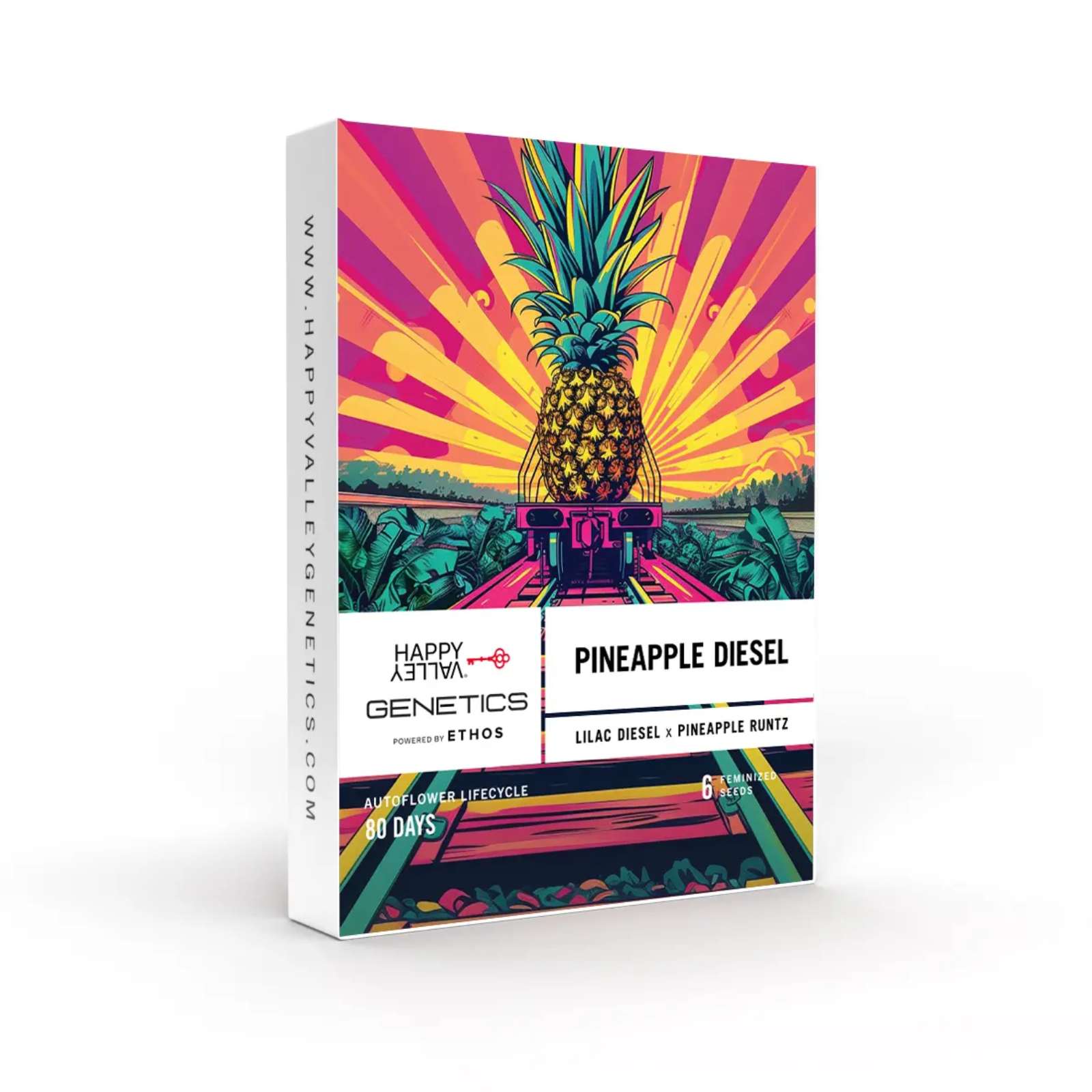 Photograph of product: Pineapple Diesel (6 Autoflower Seeds)