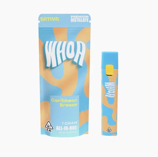 Photograph of product: Caribbean Breeze 1g Disposable - 