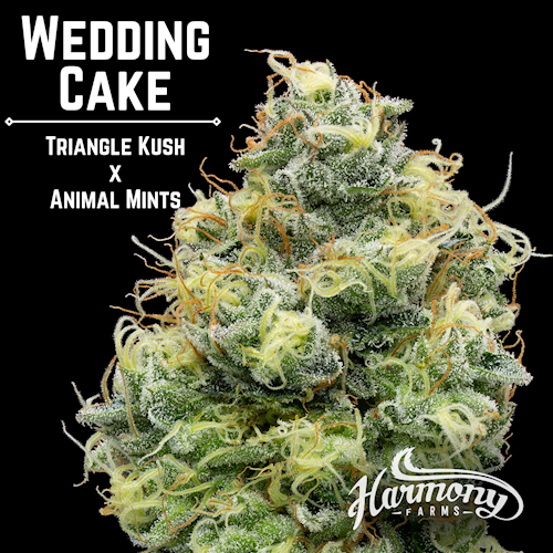 Photograph of product: Wedding Cake [DOH] - by Harmony Farms - 7g