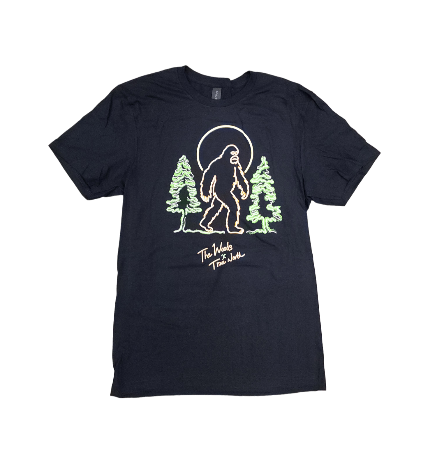 Photograph of product: True North X The Woods Collab Tee (Sm)