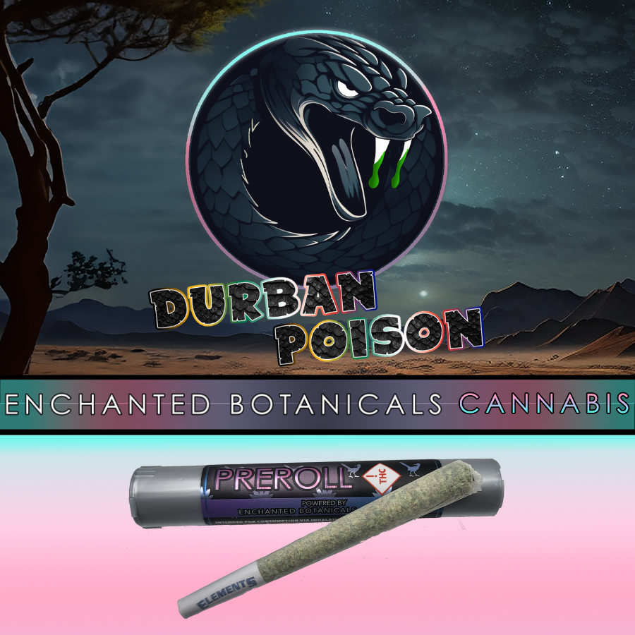 Photograph of product: Durban Poison (S) - ALL FLOWER  Preroll 1g