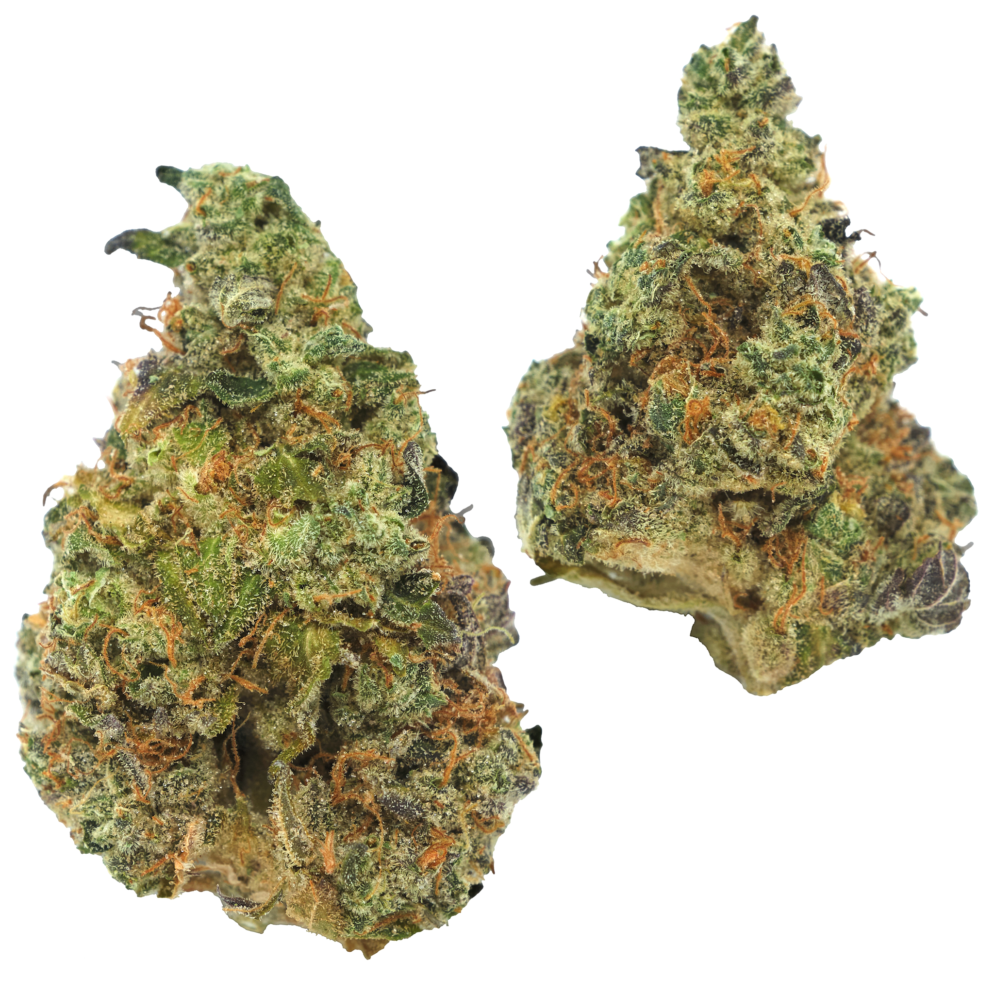 Photograph of product: GMO - 3.5g