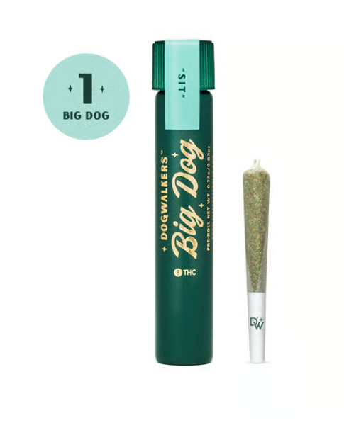 Photograph of product: Dogwalkers Big Dog | Animal Scout