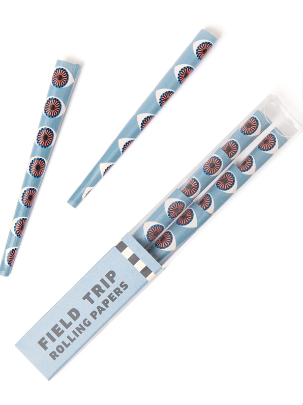 Photograph of product: Field Trip Printed Cones  | 6 Pack | Third Eye