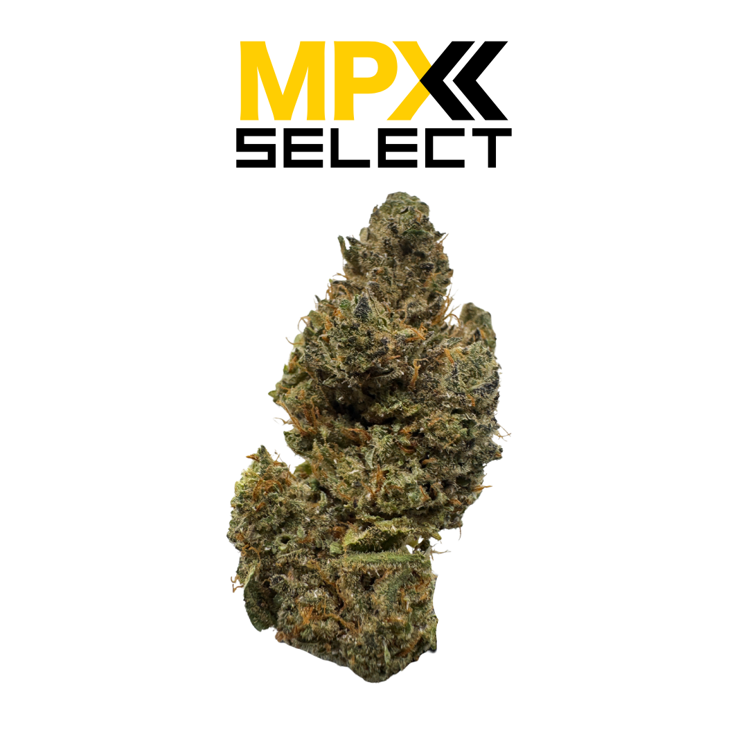 Photograph of product: MPX Select Aurora Lights Flower - 3.5g