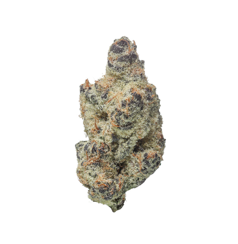 Photograph of product: TALES & TRAVELS - FROST DONKEY BX1 (3.5G) (S)