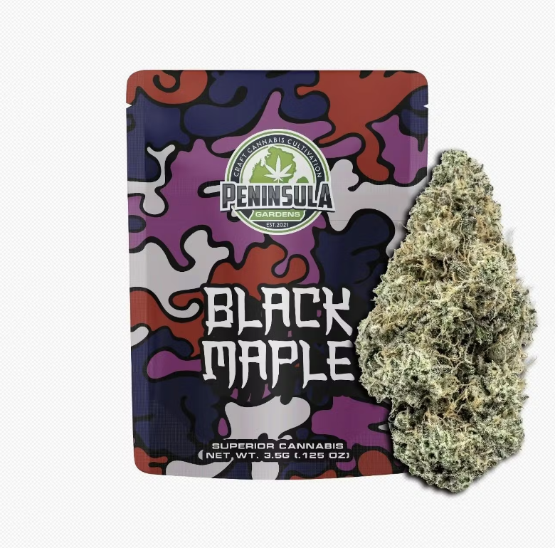 Photograph of product: Black Maple 3.5g PP by Peninsula Gardens