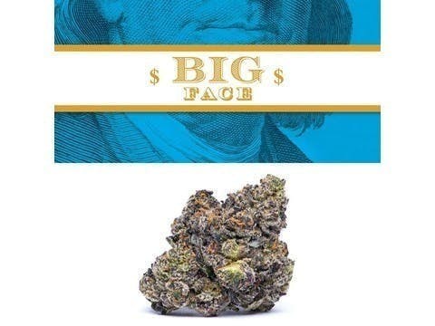Photograph of product: COOKIES BIG FACE 3.5G FLOWER