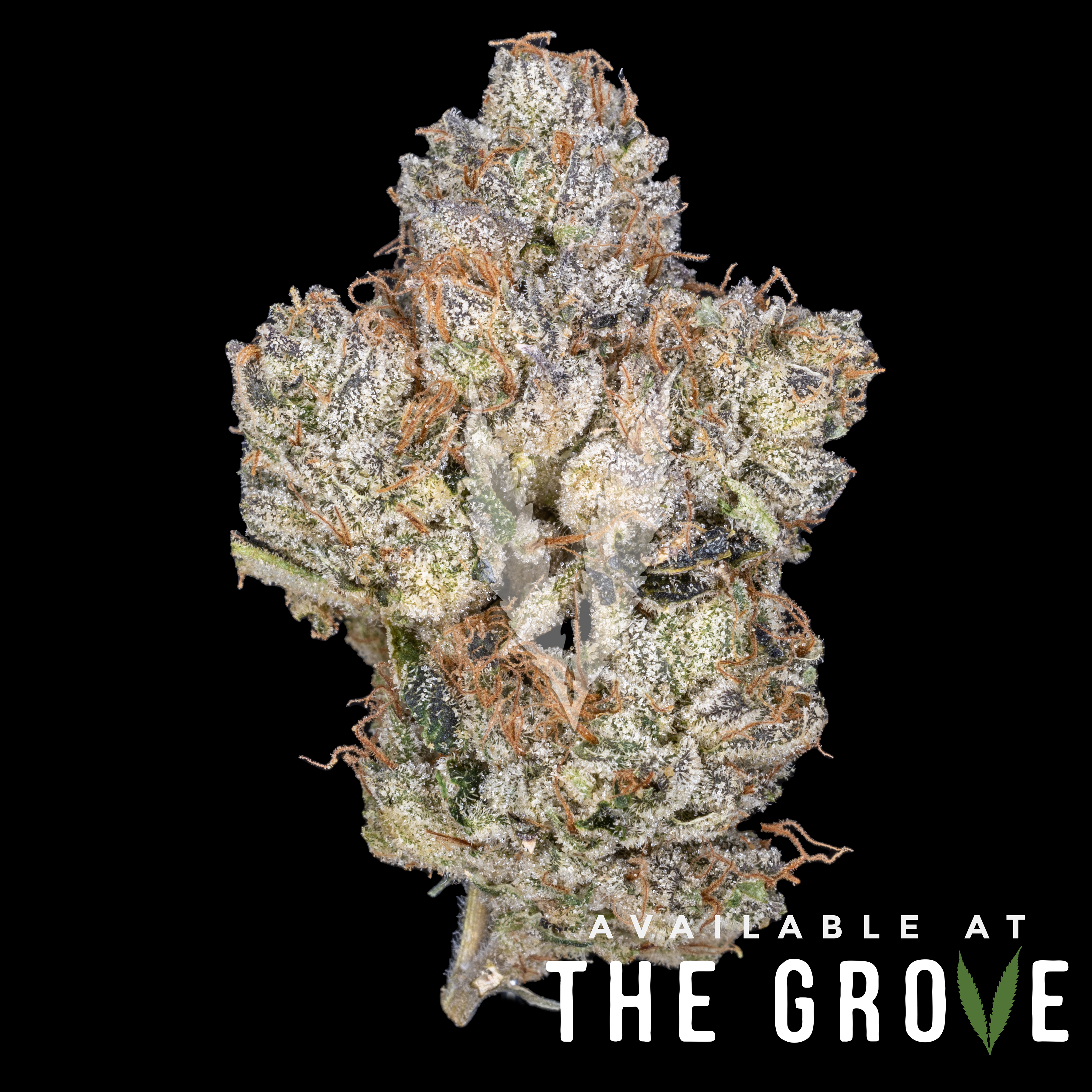 Photograph of product: CBX | Kush Mountains - 3.5g