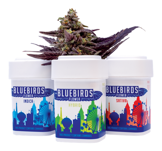 Photograph of product: Gello - 3.5g