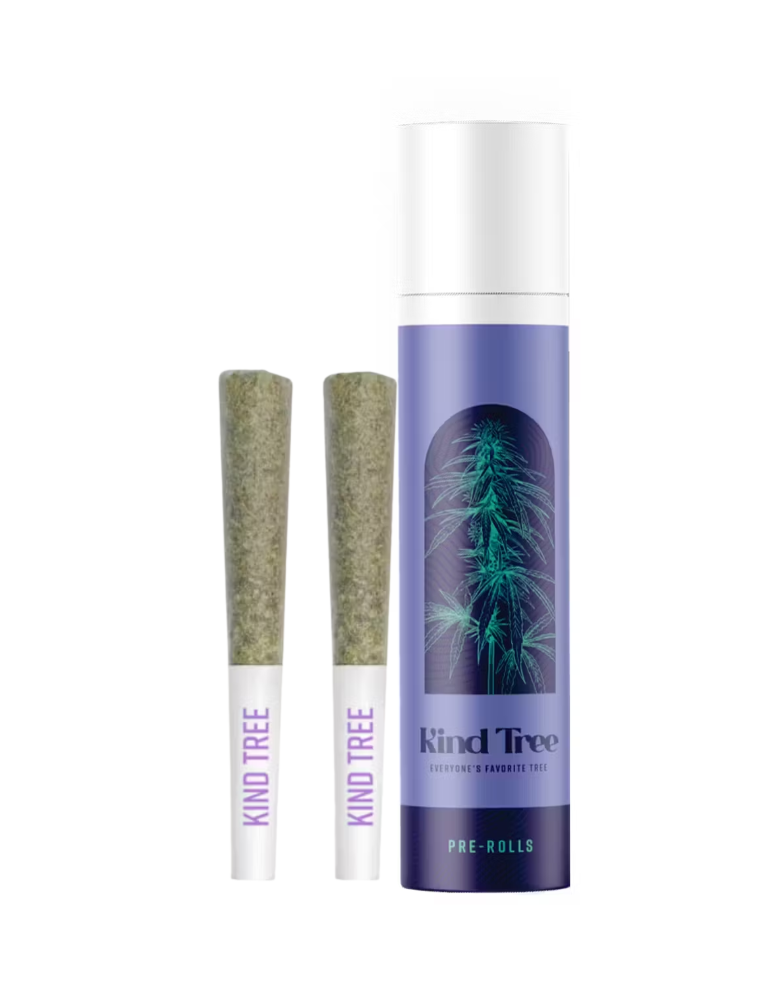 Photograph of product: Dirty Banana Infused - 5pk