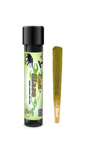 Photograph of product: Key Lime Pie Oui'd Tarantula Infused Pre Roll | 1G | Cali Blaze