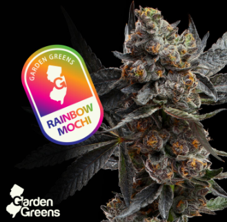 Photograph of product: Garden Greens | Rainbow Mochi 3.5g