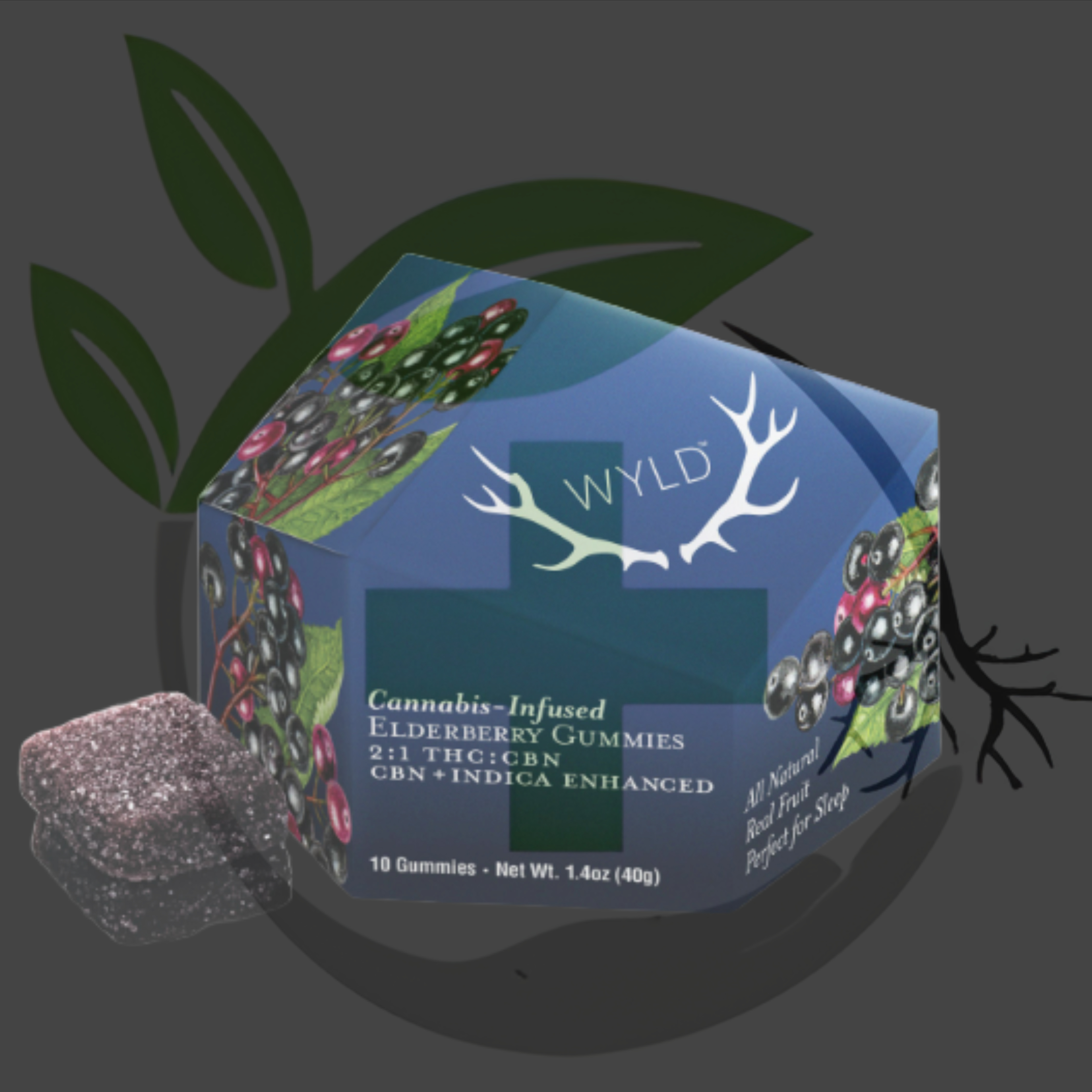Photograph of product: Gummy - TF - WYLD - 100mg 10pc - Elderberry 2:1 CBN