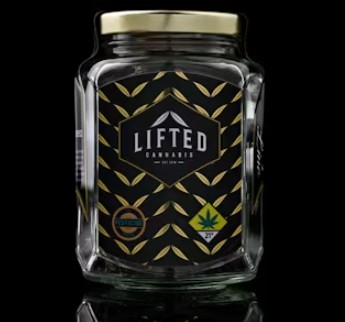 Photograph of product: Burnout 33 - 1g