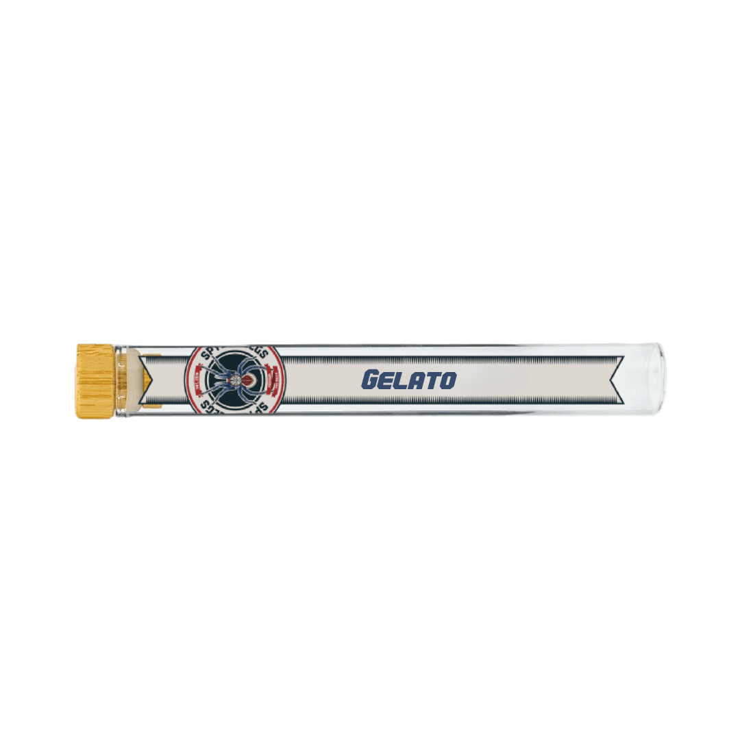 Photograph of product: Spyder Legs - 1.25g Rosin Pre-Roll - Gelato